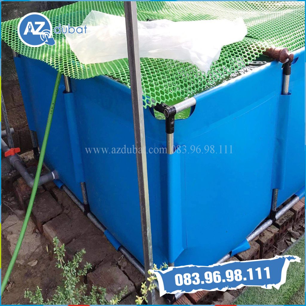 bể bạt dưỡng cá